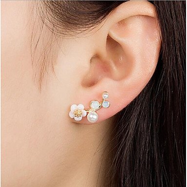 Women pearl earrings, imitation pearl flowers, herbal leaves and flowers of their fashion jewelry steel